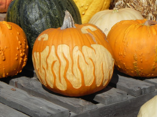 Fire Teeth, Nipomo Pumpkin Patch best carving idea